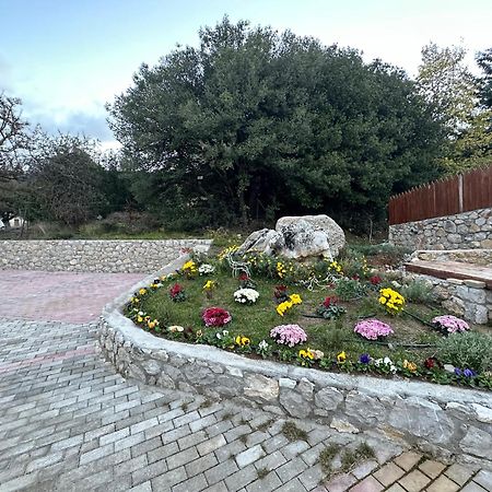 Parnassos Chalets أراخوفا المظهر الخارجي الصورة